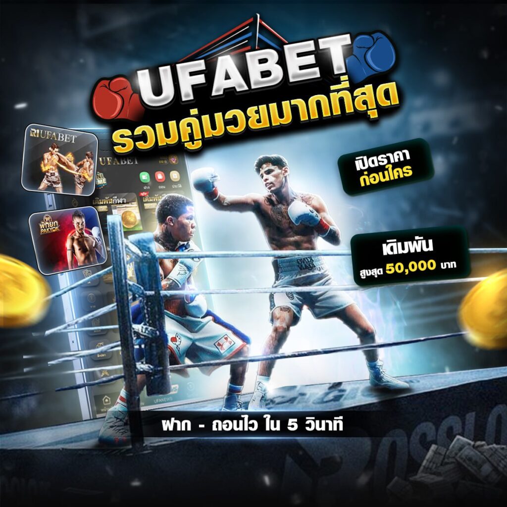 เว็บแทงมวย one